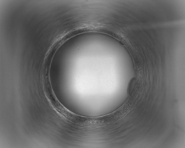 X0000056010736200508190853
