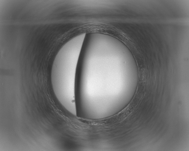 X0000056010737200508190853