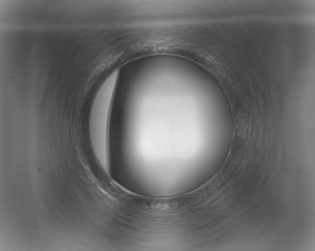 X0000056010740200508190853