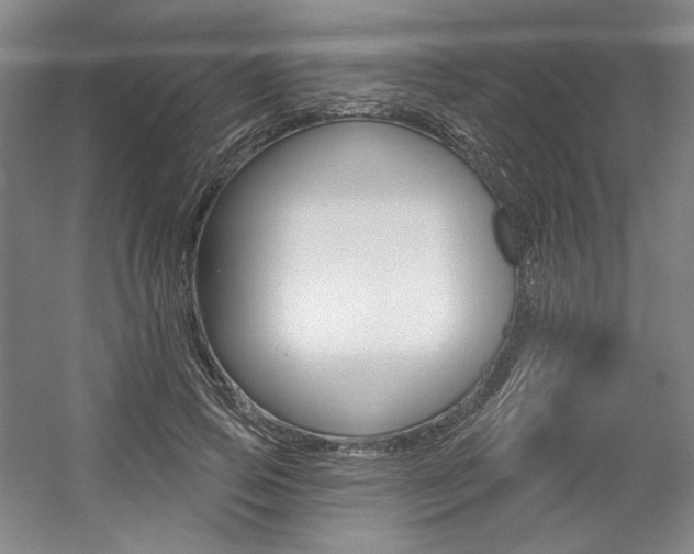 X0000056010741200508190853