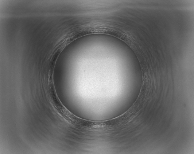 X0000056010744200508190853