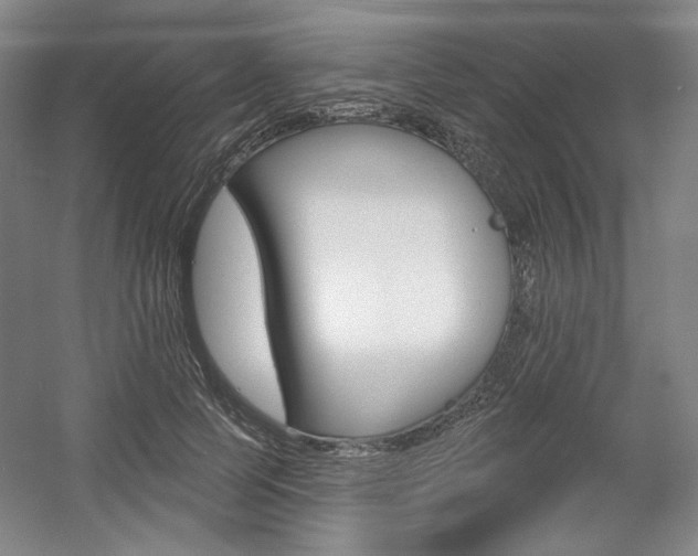 X0000056010745200508190853