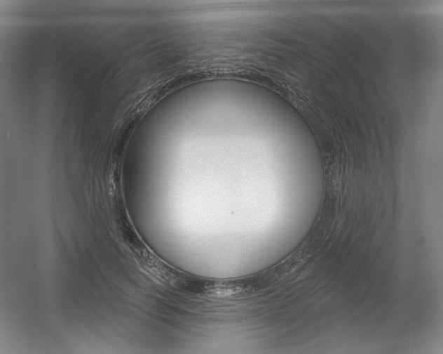 X0000056010746200508190853
