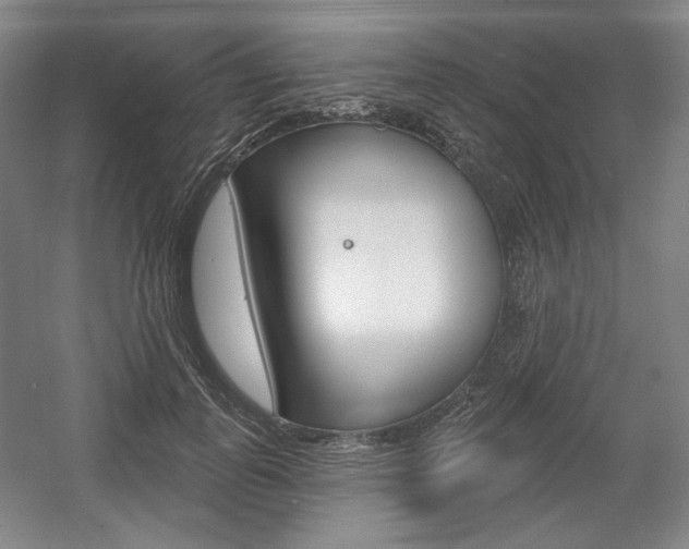 X0000056010747200508190853
