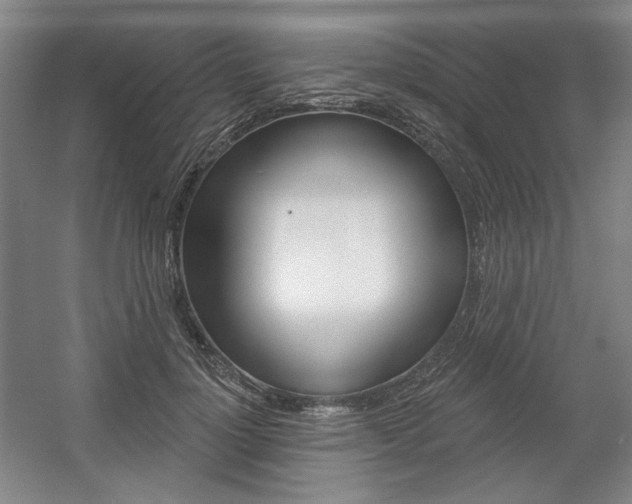 X0000056010748200508190853