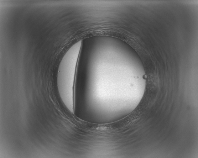 X0000056010751200508190854