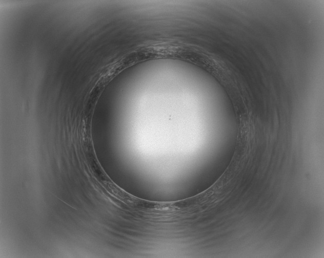 X0000056010752200508190854