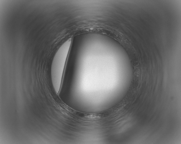 X0000056010754200508190854