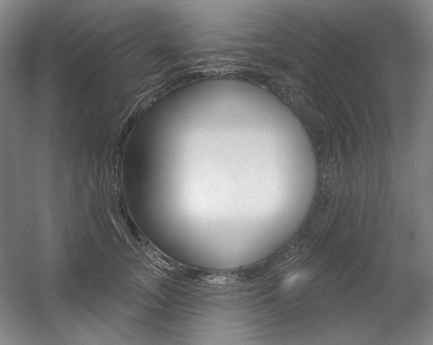 X0000056010755200508190854