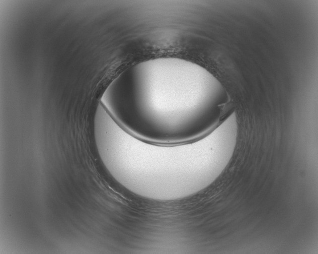 X0000056010756200508190854