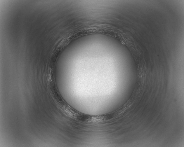 X0000056010758200508190854