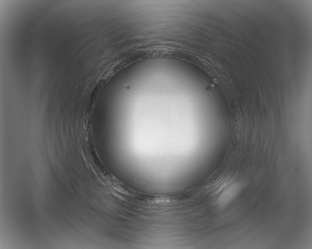 X0000056010759200508190854