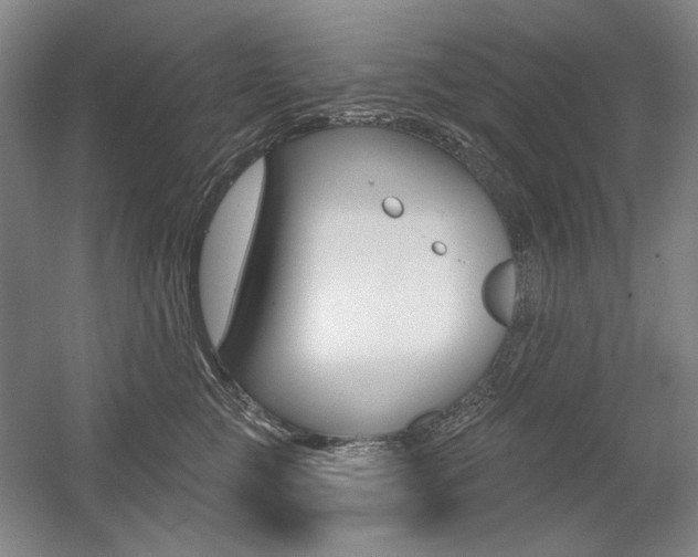 X0000056010761200508190854