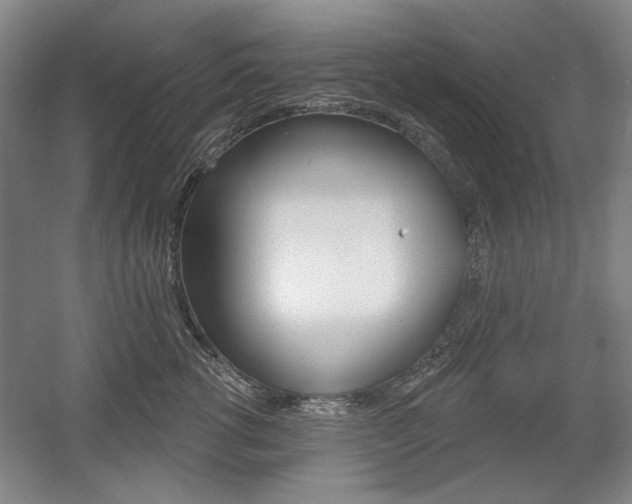 X0000056010762200508190854