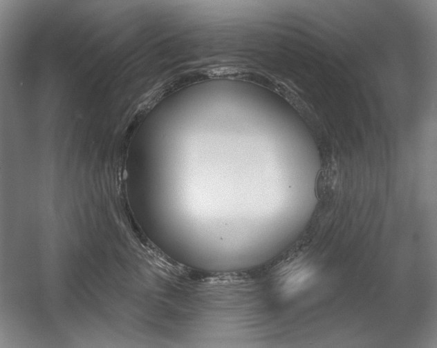 X0000056010763200508190854