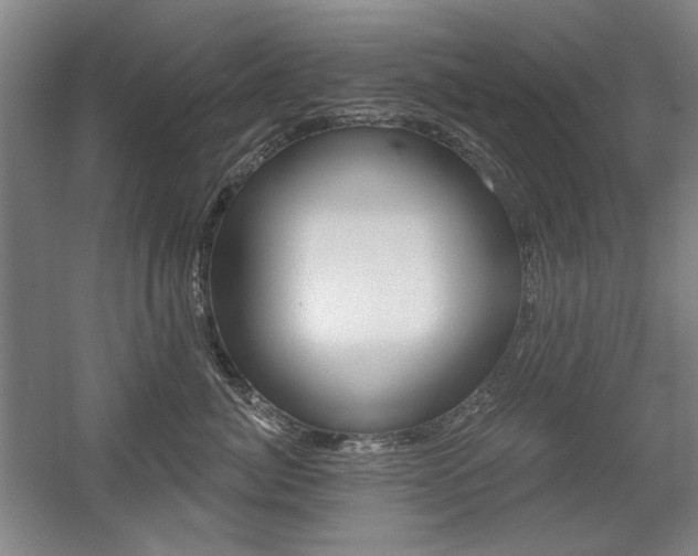 X0000056010764200508190854