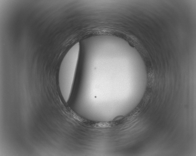 X0000056010765200508190854