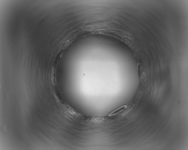 X0000056010767200508190854