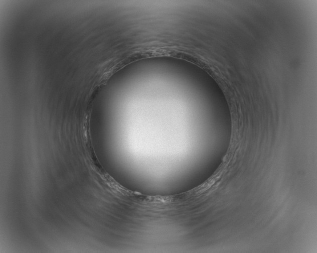 X0000056010768200508190854