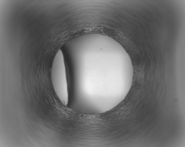 X0000056010770200508190853