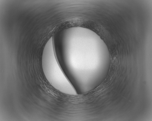 X0000056010772200508190853