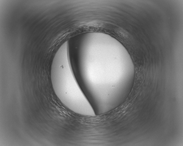 X0000056010774200508190853