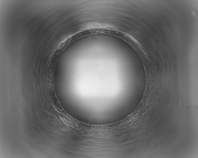 X0000056010775200508190853