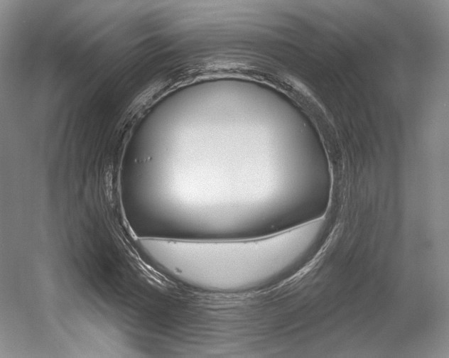 X0000056010777200508190853