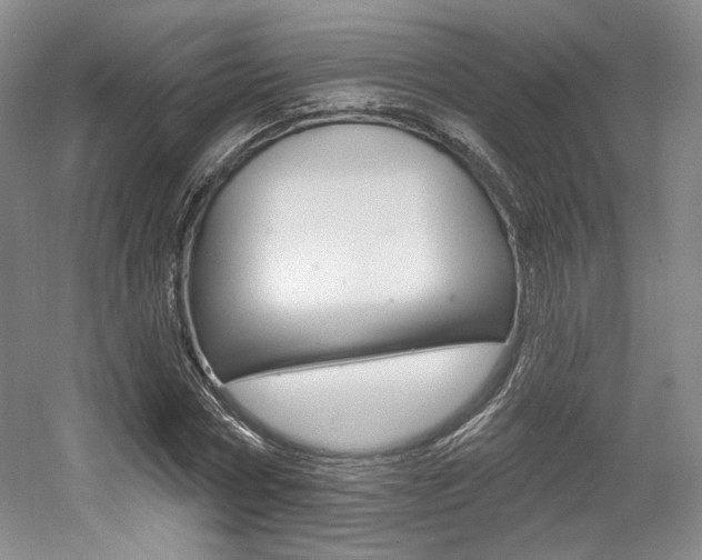 X0000056010778200508190853