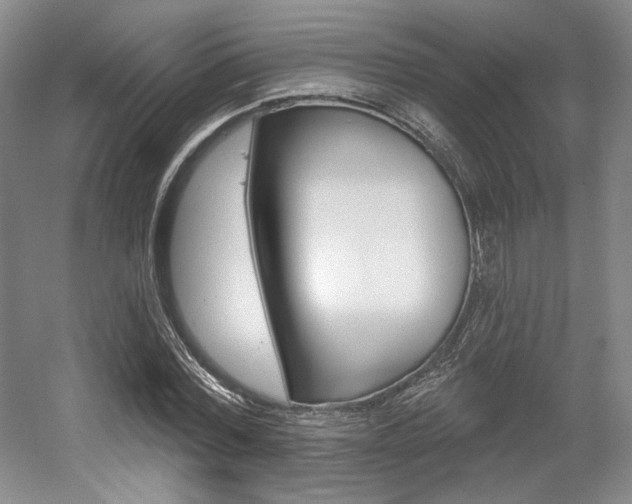 X0000056010780200508190853