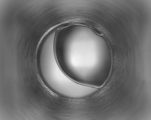 X0000056010784200508190853