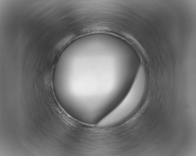 X0000056010785200508190853