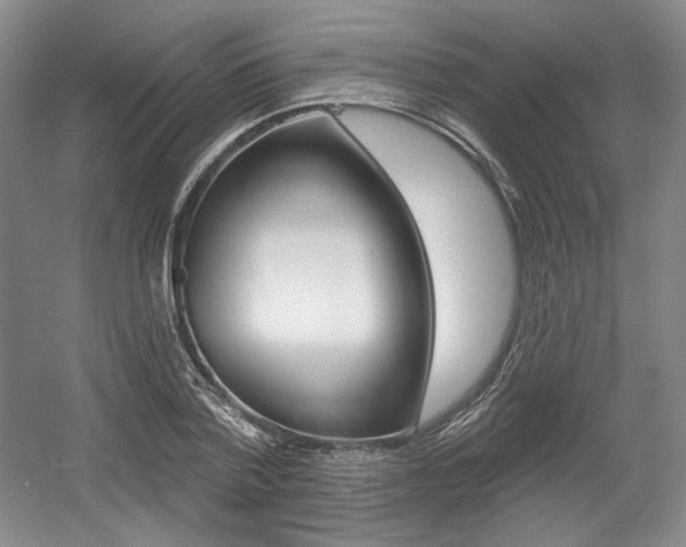 X0000056010788200508190853