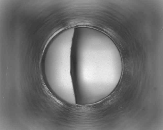 X0000056010790200508190853