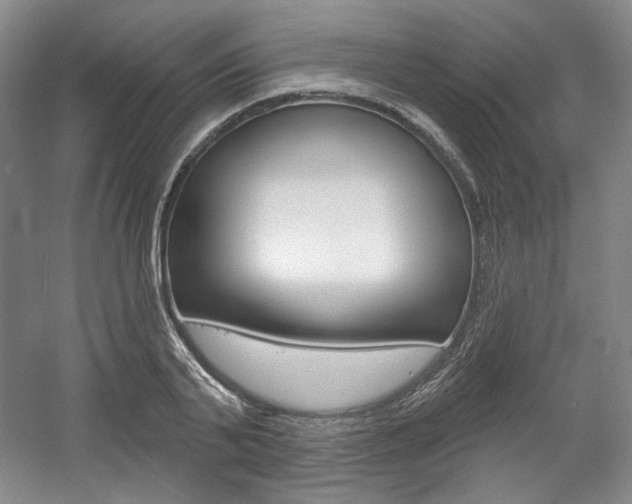 X0000056010791200508190853