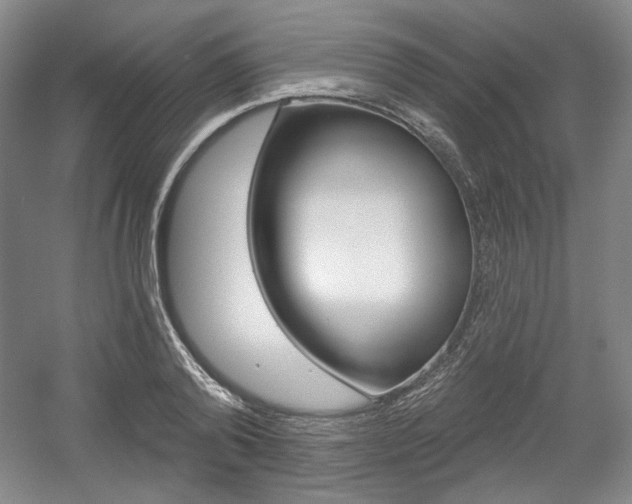 X0000056010792200508190853