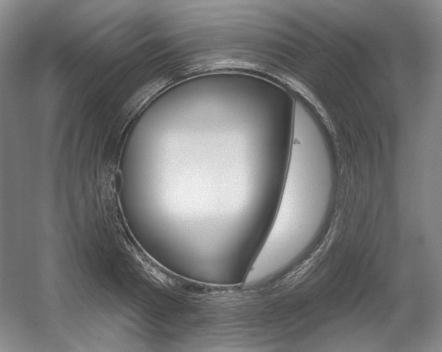 X0000056010793200508190853