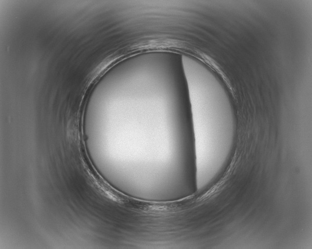 X0000056010794200508190853