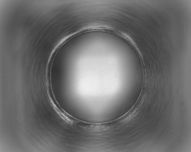 X0000056010795200508190853