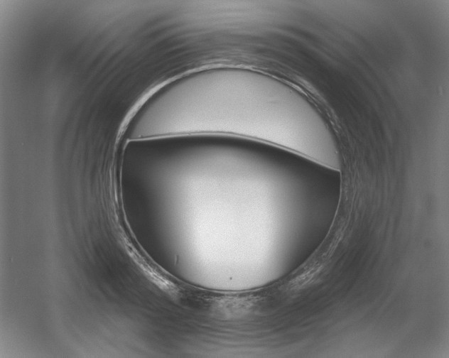 X0000056010796200508190853