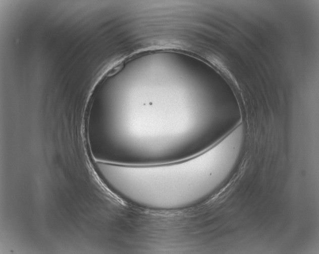 X0000056010797200508190853