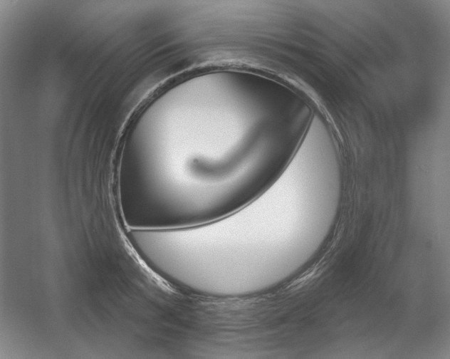 X0000056010799200508190852