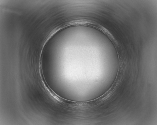 X0000056010802200508190852