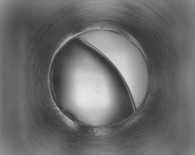 X0000056010803200508190852
