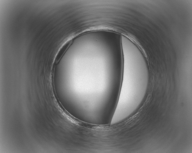 X0000056010805200508190852