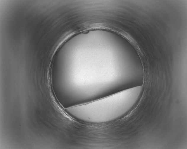 X0000056010806200508190852