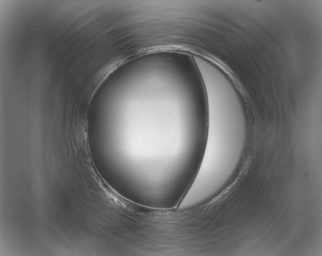 X0000056010809200508190852