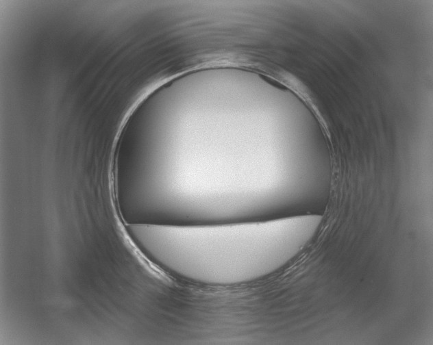 X0000056010811200508190852
