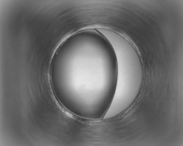X0000056010813200508190852