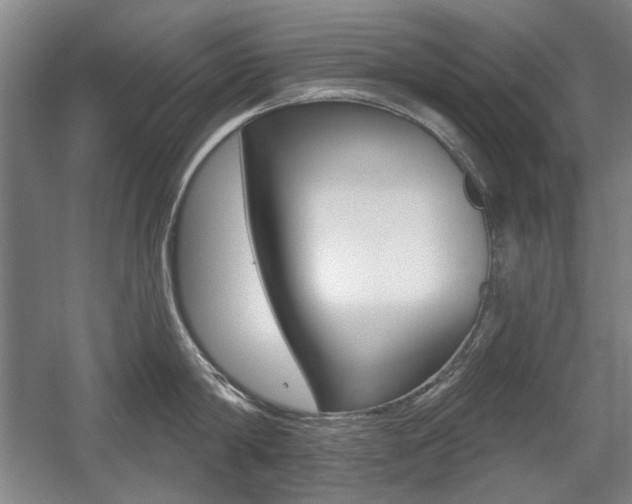 X0000056010814200508190852
